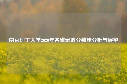 南京理工大学2020年各省录取分数线分析与展望