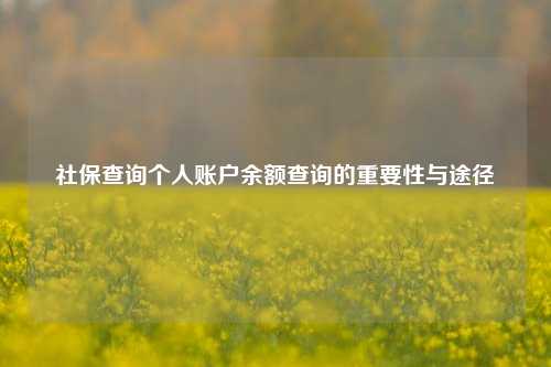 社保查询个人账户余额查询的重要性与途径