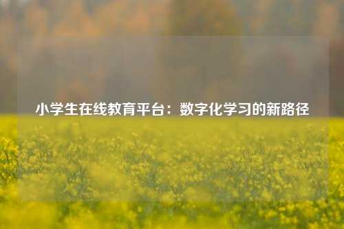 小学生在线教育平台：数字化学习的新路径
