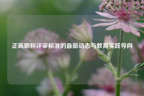 正高职称评审标准的最新动态与教育实践导向