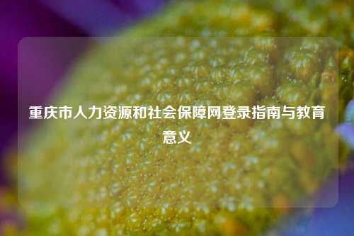 重庆市人力资源和社会保障网登录指南与教育意义