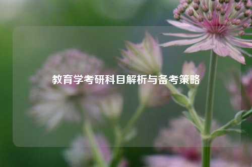 教育学考研科目解析与备考策略